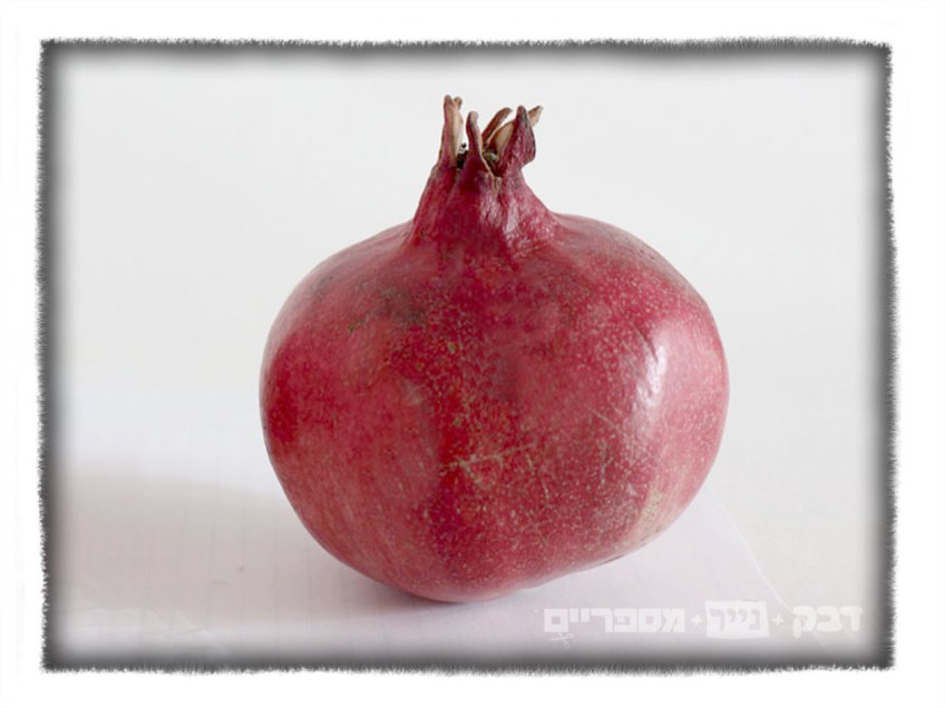 https://www.etsy.com/listing/477344305/jewish-holiday-table-decor-pomegranate?ga_search_query=pomegranate&ref=shop_items_search_8
