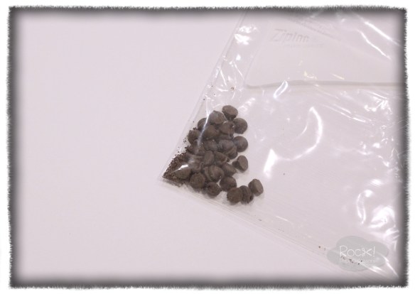 chocolate-chips-in-ziplock