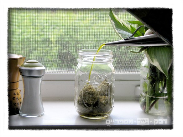 Labaneh לבנה שמן זית